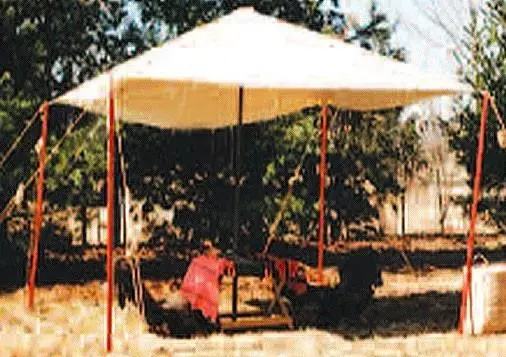 Reenactor Dining Fly – Open-Air Canopy for Historical Camp Meals and Communal Gatherings