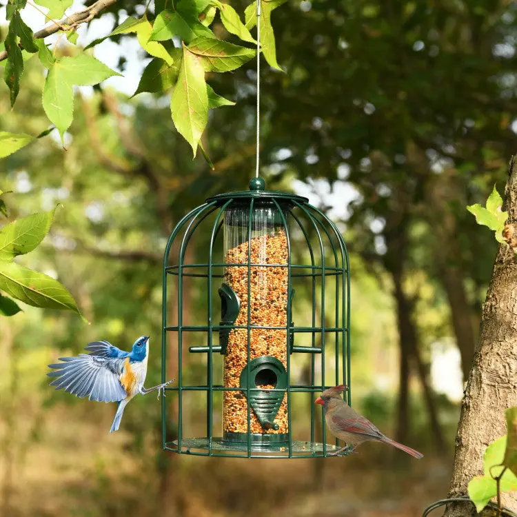 Squirrel-Resistant Outdoor Hanging Bird Feeder with 4 Access Ports and Secure Cage Design